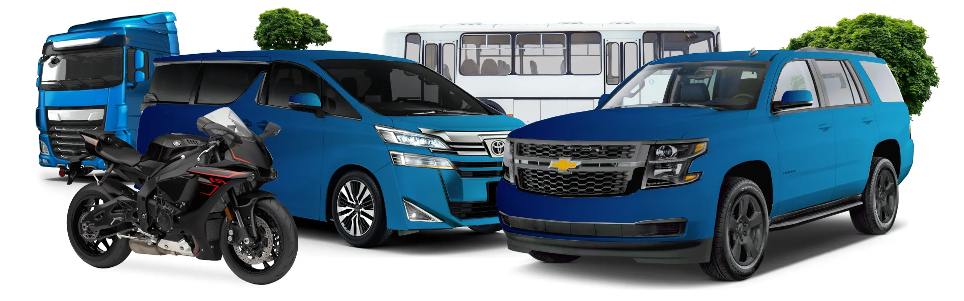 Купить права